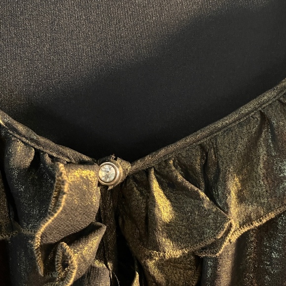 Cupio - Metallic Bronze semi sheer, lined long sleeve blouse - Picture 8 of 11